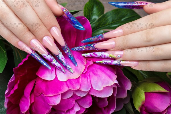 Long beautiful manicure with flowers on female fingers. Nails design. Close-up. Picture taken in the studio on a white background
