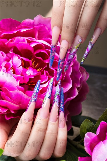 Long beautiful manicure with flowers on female fingers. Nails design. Close-up. Picture taken in the studio on a white background