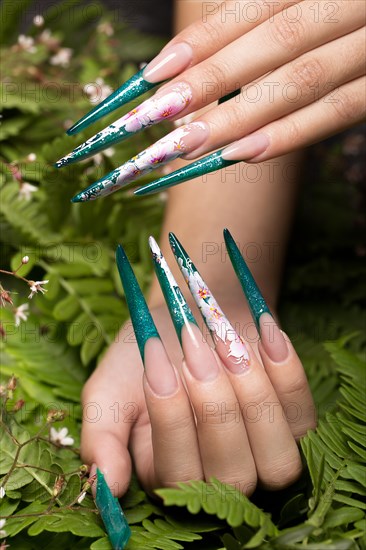 Long beautiful manicure with flowers on female fingers. Nails design. Close-up