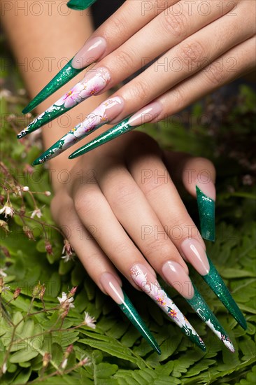 Long beautiful manicure with flowers on female fingers. Nails design. Close-up