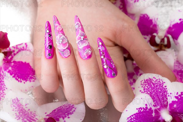 Long beautiful manicure with flowers on female fingers. Nails design. Close-up. Picture taken in the studio on a white background