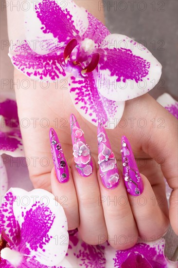 Long beautiful manicure with flowers on female fingers. Nails design. Close-up. Picture taken in the studio on a white background