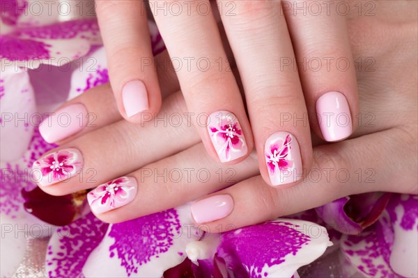 Shot beautiful manicure with flowers on female fingers. Nails design. Close-up. Picture taken in the studio on a white background