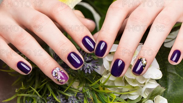 Shot beautiful manicure with flowers on female fingers. Nails design. Close-up. Picture taken in the studio on a white background