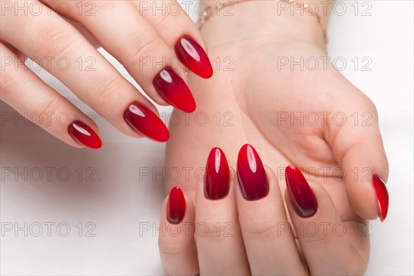 Shot beautiful manicure with gradient on female fingers. Nails design. Close-up. Picture taken in the studio