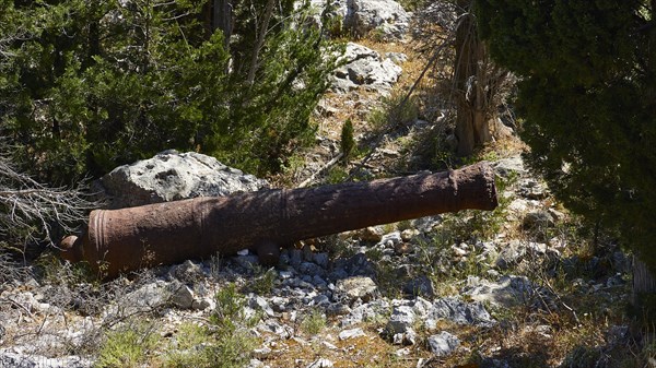 Old rusty cannon barrel