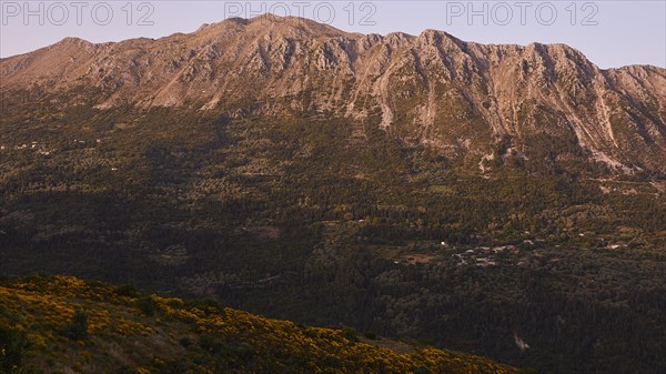 Green mountain landscape