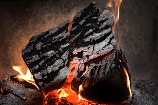 Burning log in the fireplace