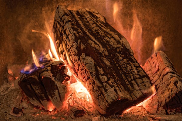 Burning log in the fireplace