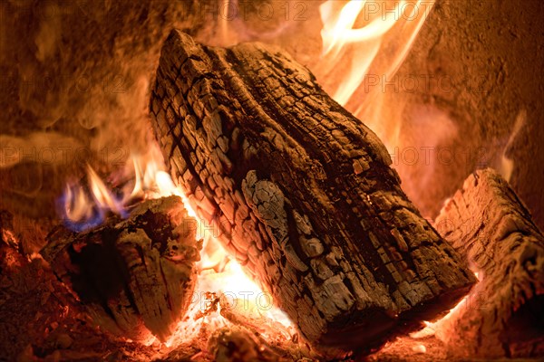 Burning log in the fireplace