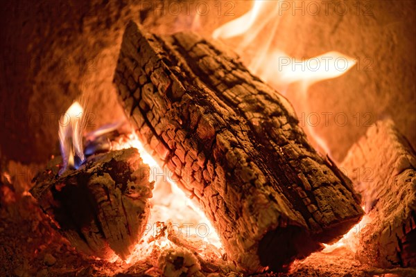 Burning log in the fireplace