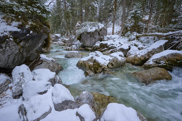 Mountain stream in winter