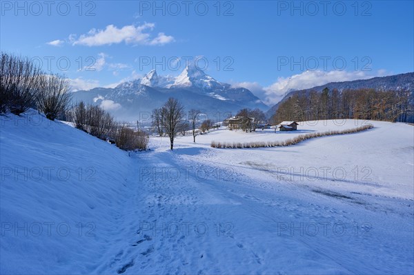 Watzmann massif in winter