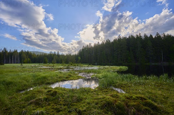 Fichtelsee