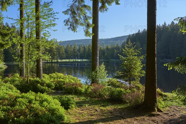 Fichtelsee