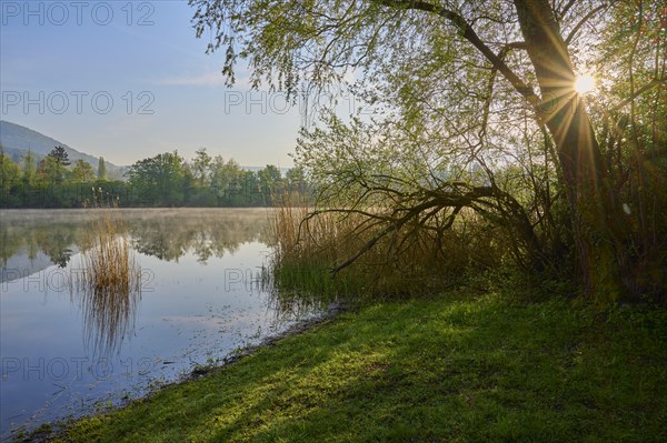 Lake