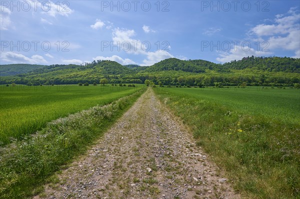 Gravel path