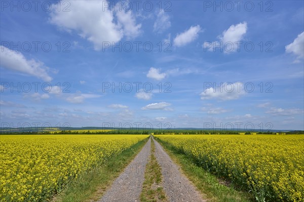 Gravel path