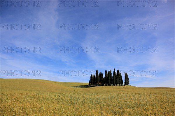 Landscape in Tuscany