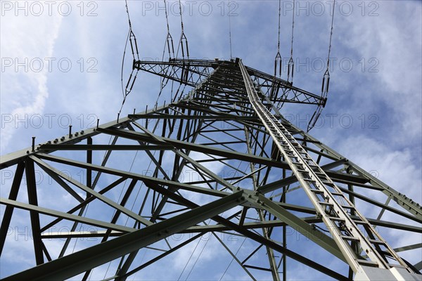 High-voltage pylon with service ladder