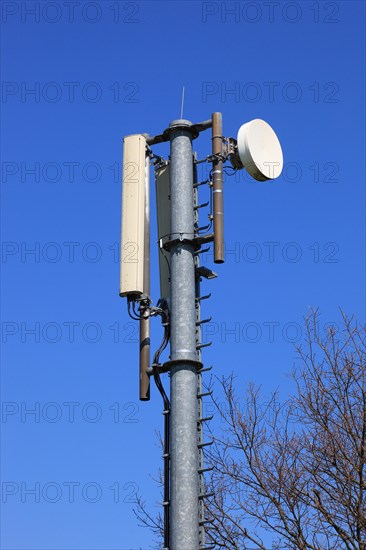 Transmission mast with directional radio antenna and antennas for mobile phone reception