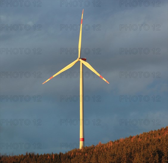 Wind turbine in a forest in the evening light