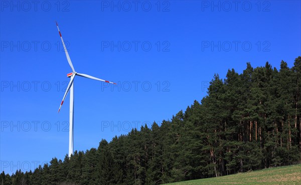 Wind generator in a forest area