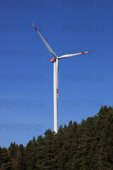 Wind generator in a forest area