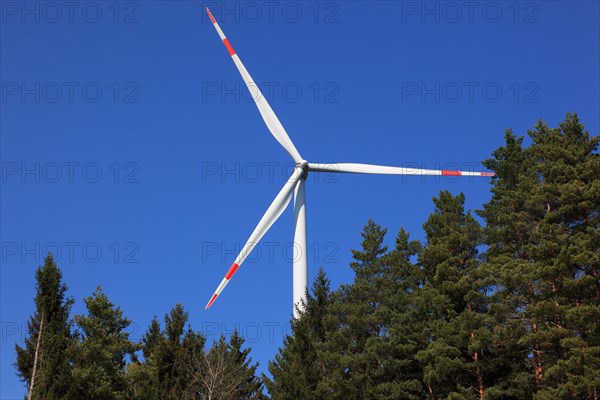 Wind generator in a forest area