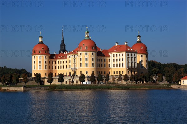 Moritzburg Castle