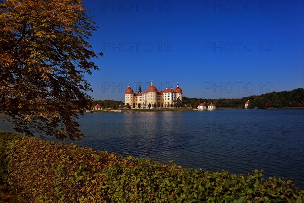 Moritzburg Castle