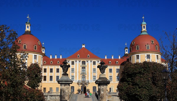 Moritzburg Castle