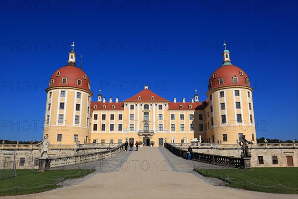 Moritzburg Castle