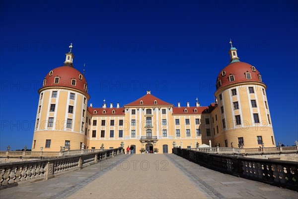 Moritzburg Castle