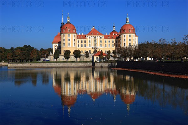 Moritzburg Castle