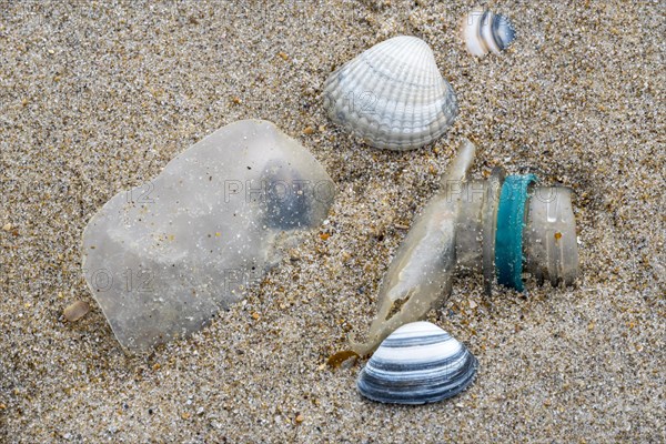 Old partly broken down plastic bottle