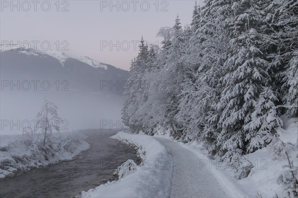 Snow-covered path along the Sulzbach in winter