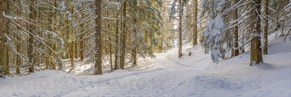 Hiking trail near Soellereck