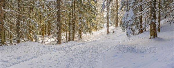 Hiking trail near Soellereck