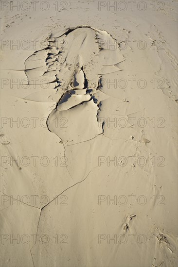 Dried cracking sandy mud in a fish shape. Drought-cracked soil patterns display the effect of lack of rain and climate change. Swakop River