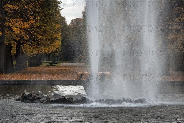 Large fountain