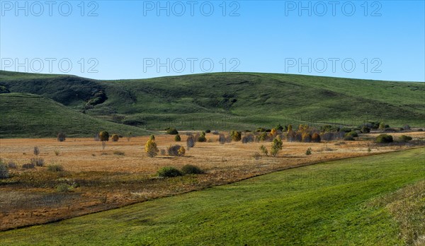 Bog landscape with dry bog grass