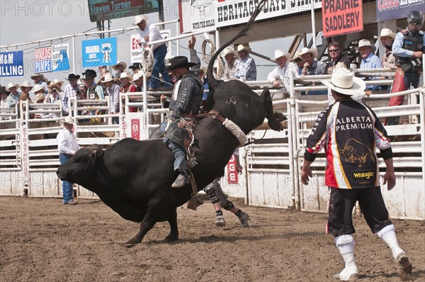 Cowboy bull riding