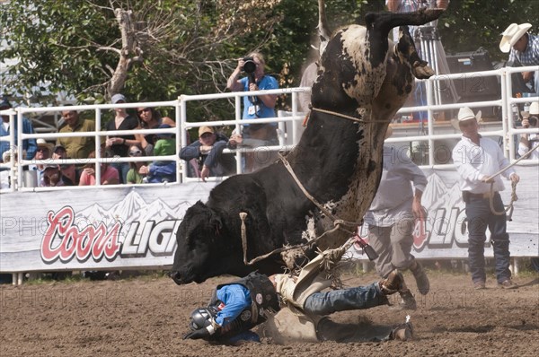 Cowboy thrown while bull riding