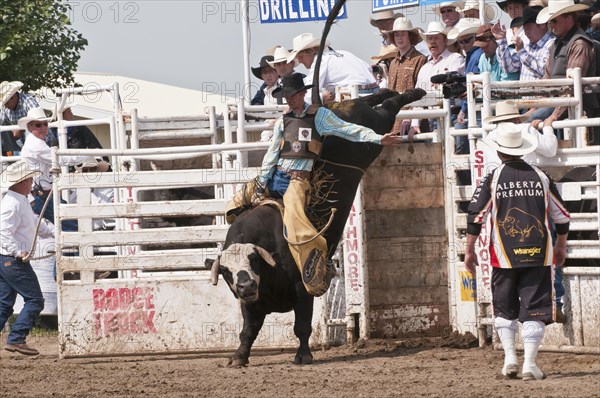 Cowboy bull riding