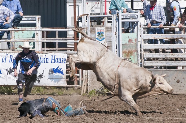 Cowboy thrown while bull riding