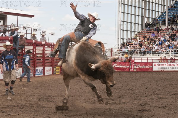 Cowboy bull riding