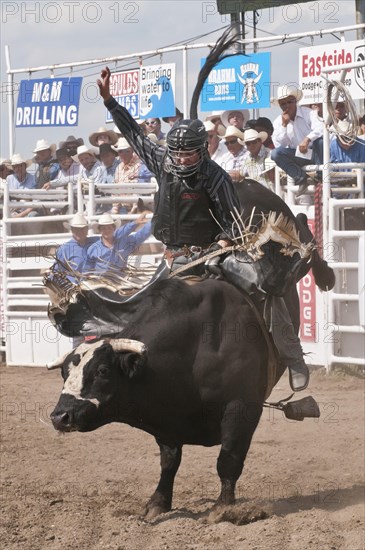 Cowboy bull riding