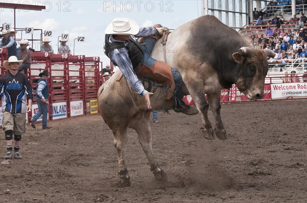 Cowboy bull riding at a rodeo