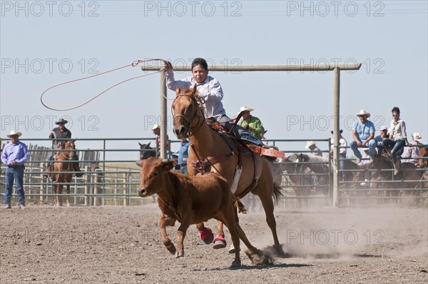 Calf roping